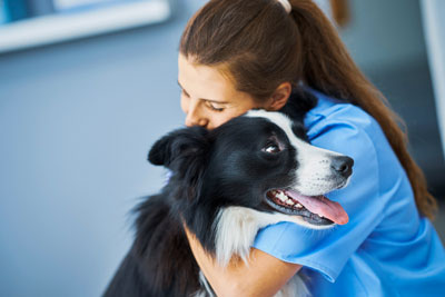 Pet Care Services logo