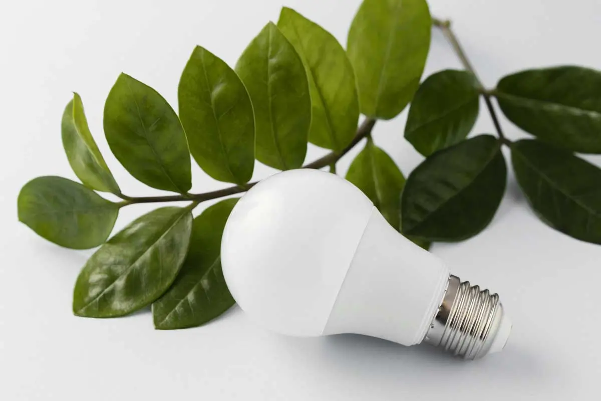 White LED light bulb placed next to green leaves on white background.
