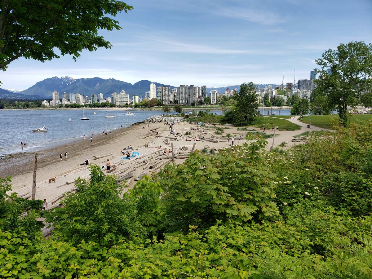 Dog park at Kitsilano Beach with Vancouver Skyline at the back.