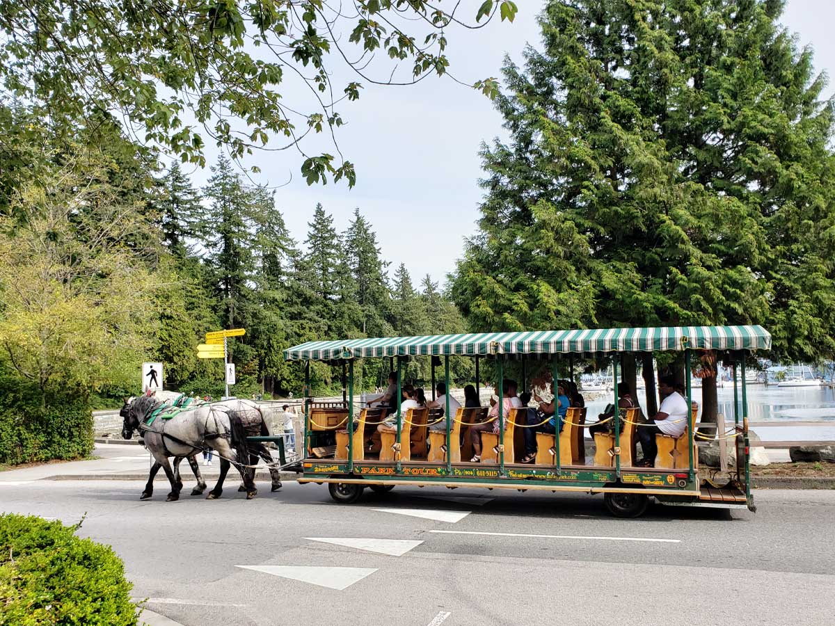Horse-drawn carriage tour passing through Stanley Park.