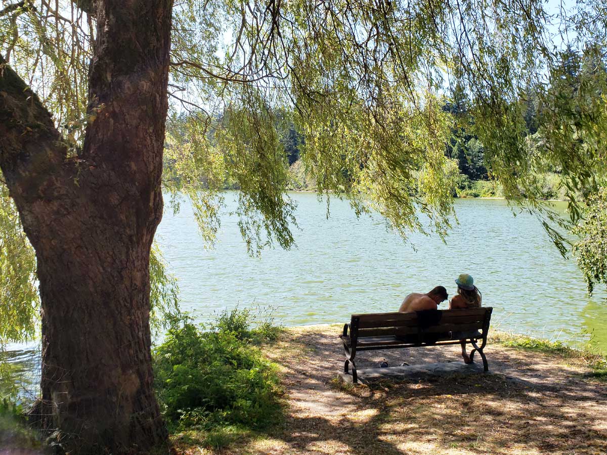 Couple sitting on a bench under a tree at Lost Lagoon.