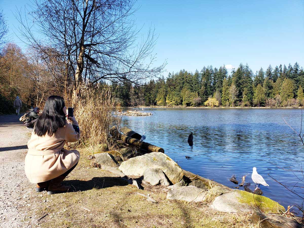 Woman taking a photo of birds at Lost Lagoon in Stanley Park.