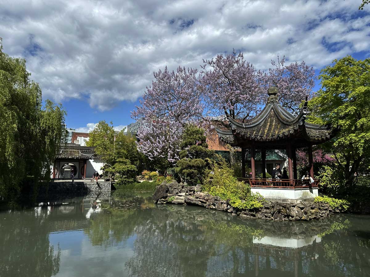 Dr. Sun Yat-Sen Garden with water, trees, & Chinese pavilions.