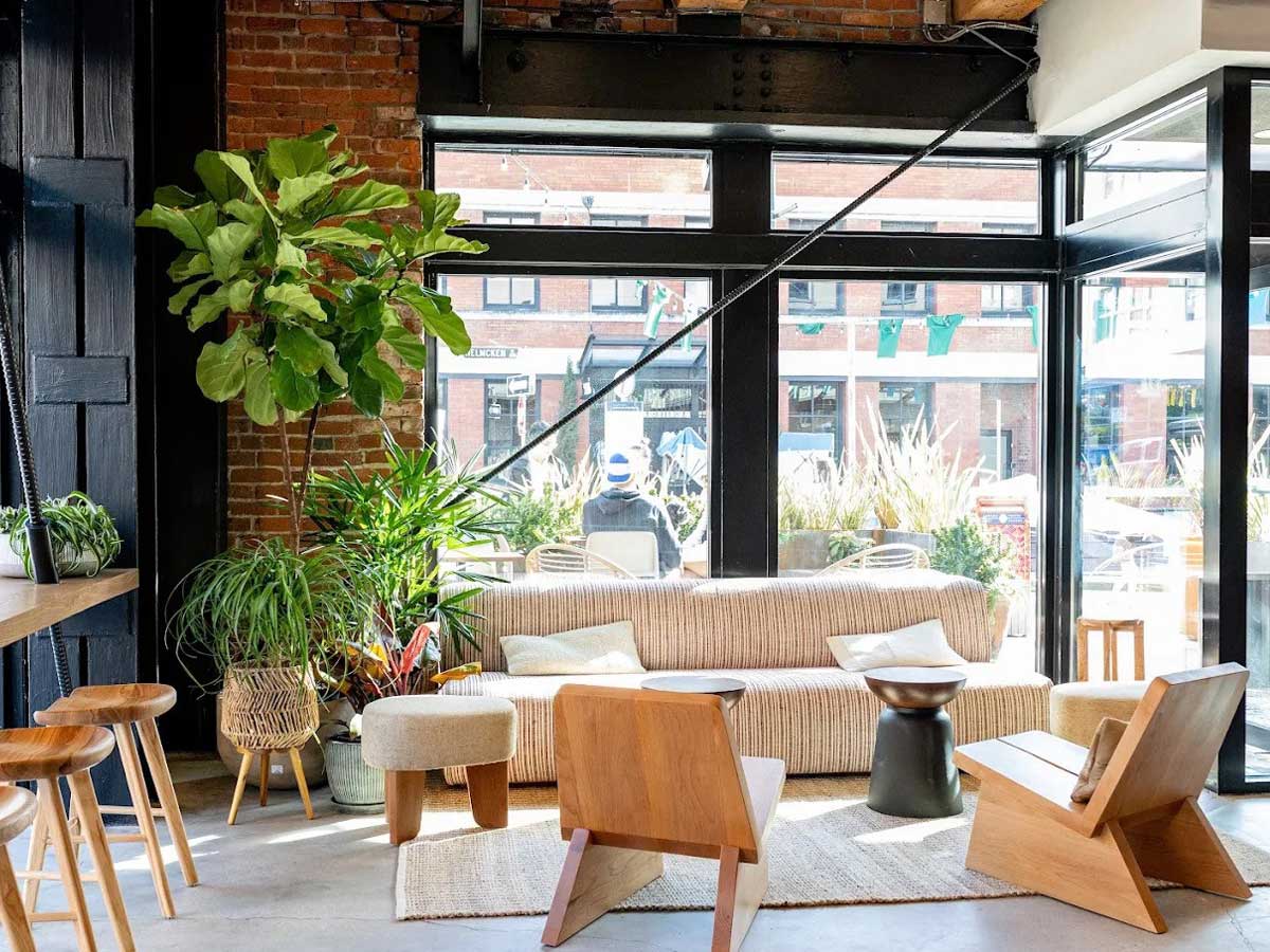 Cozy seating area at Analog Coffee with plants and sunlight.