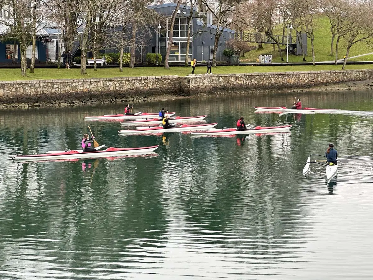 False Creek Vancouver (All you Need to Know)