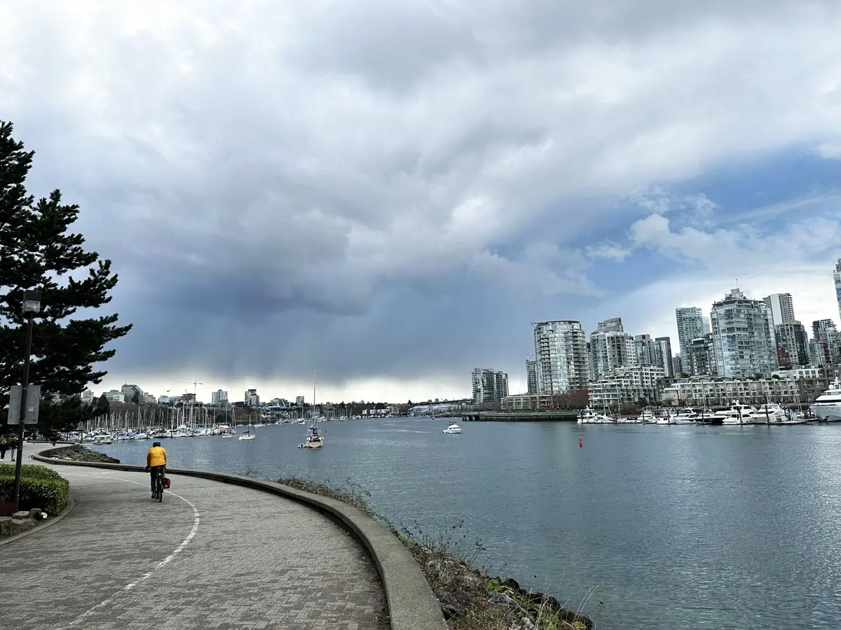 False Creek Vancouver (All you Need to Know)