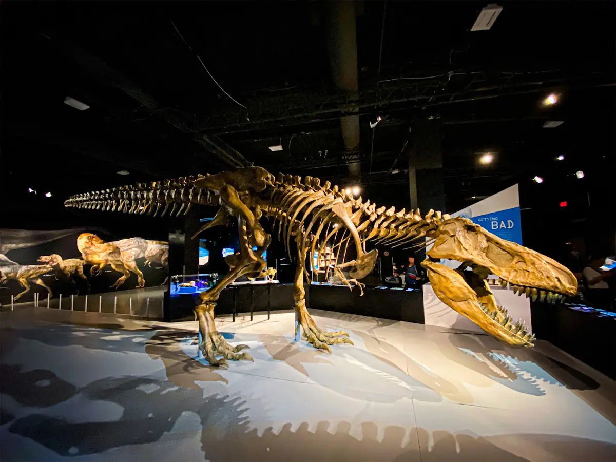 Science World Vancouver (All You Need to Know)