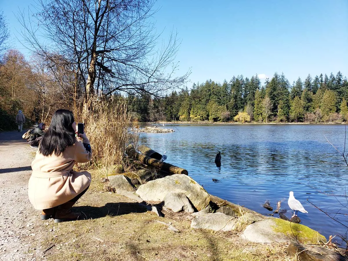 Stanley Park Vancouver (Visitor's Guide)