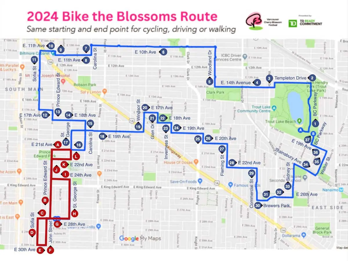 Biking Route for Cherry Blossoms in Vancouver.