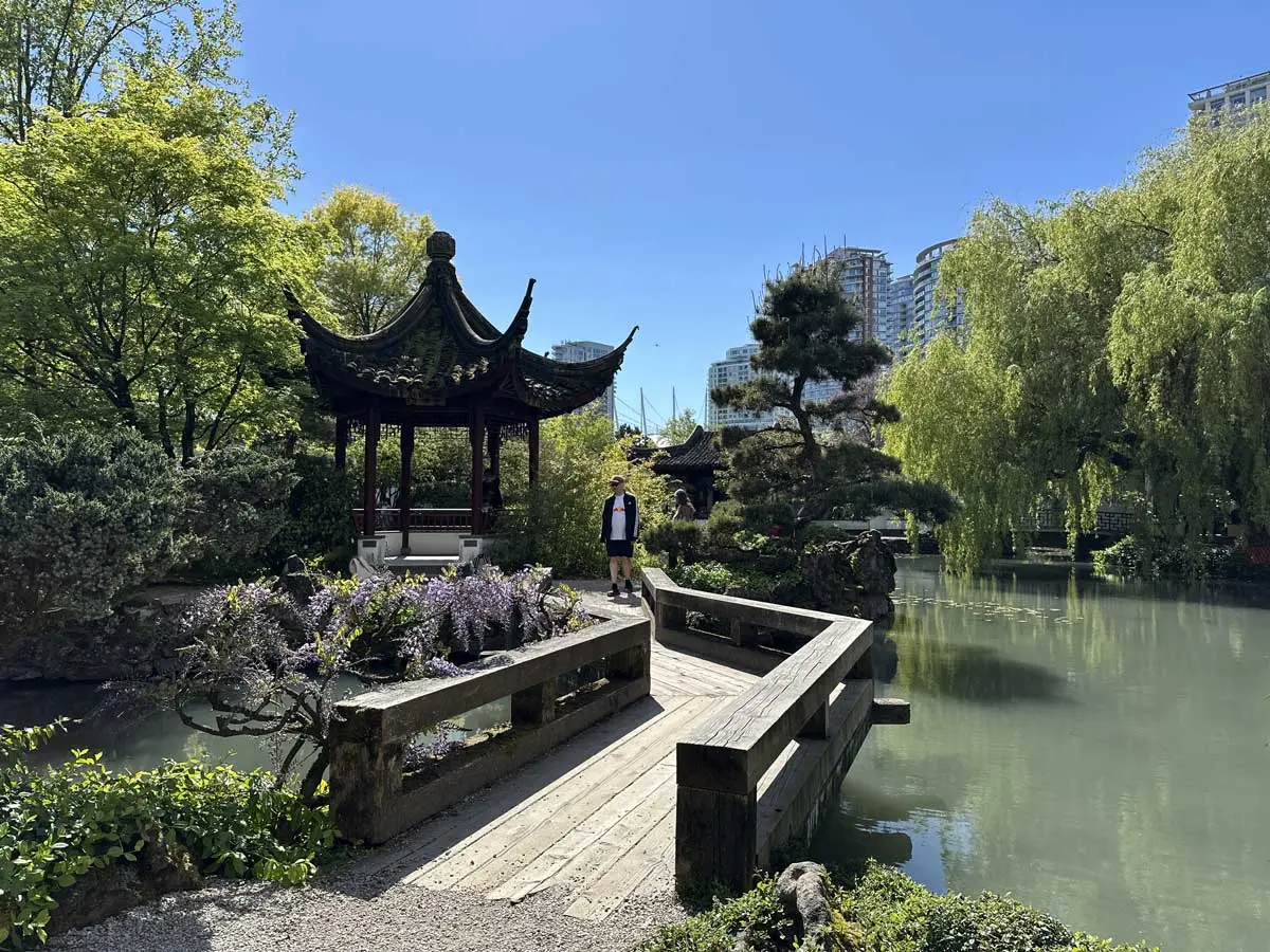 Man stands on a wooden bridge surrounded by lush trees and a pond in the peaceful Dr. Sun Yat-Sen Classical Chinese Garden.