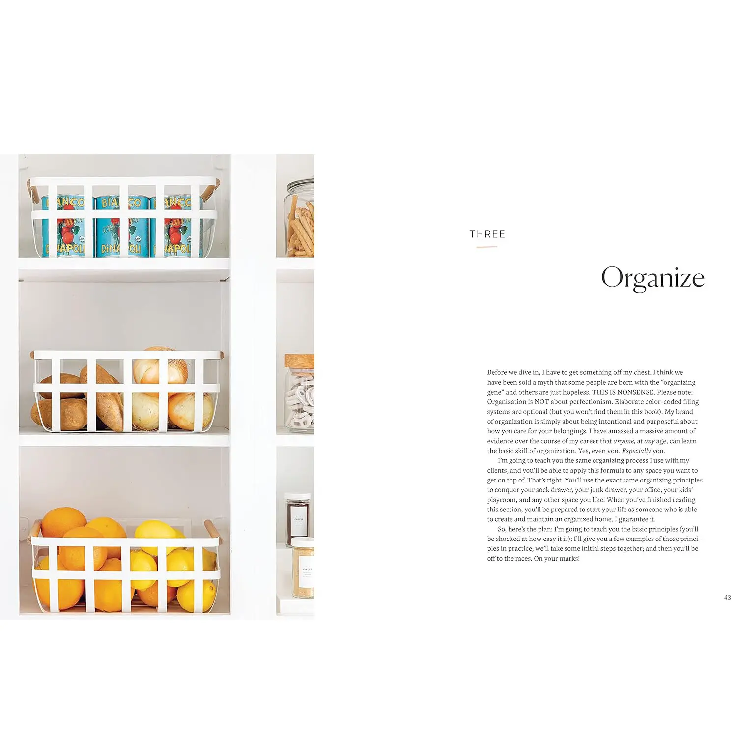Minimalista by Shira Gill – Guide to Decluttered Home, Life