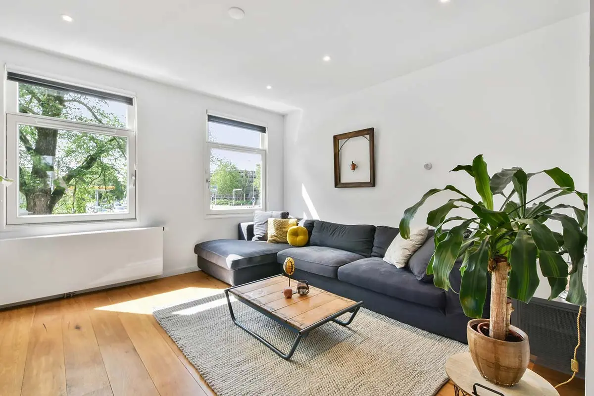 Cozy living room with a gray sectional sofa, wooden coffee table, indoor plant, and large windows bringing in natural light.