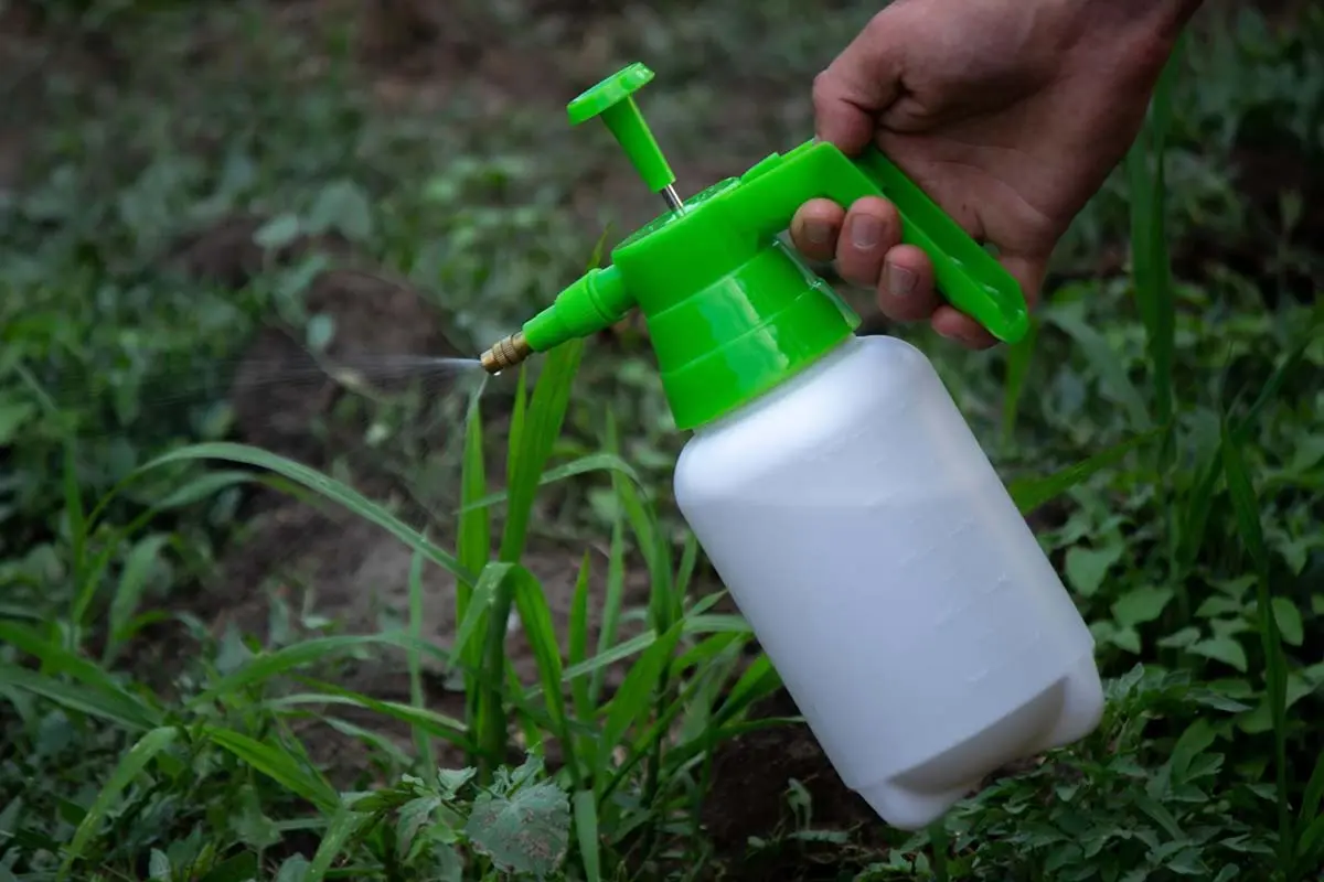 Hand holding a green spray bottle, applying weed control solution to plants in a garden.
