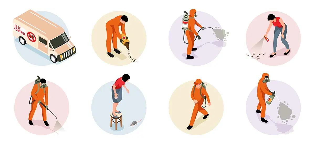Illustration of pest control activities, showing a van, workers spraying, and handling rodent and insect issues.