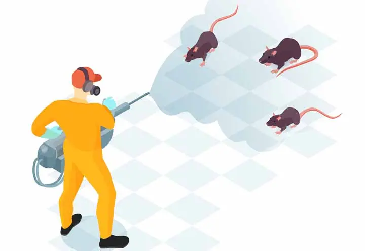Rodent Control and Prevention: Mouse and Rat Solutions