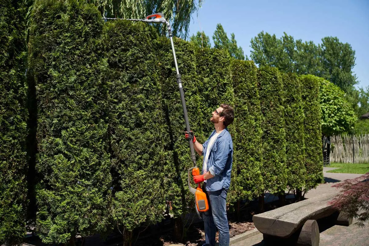 Man trimming tall hedges with a long pole hedge trimmer in a garden.