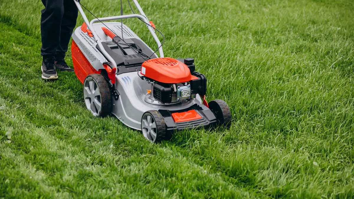 Person mowing lush green grass with a red and gray lawn mower in a backyard.