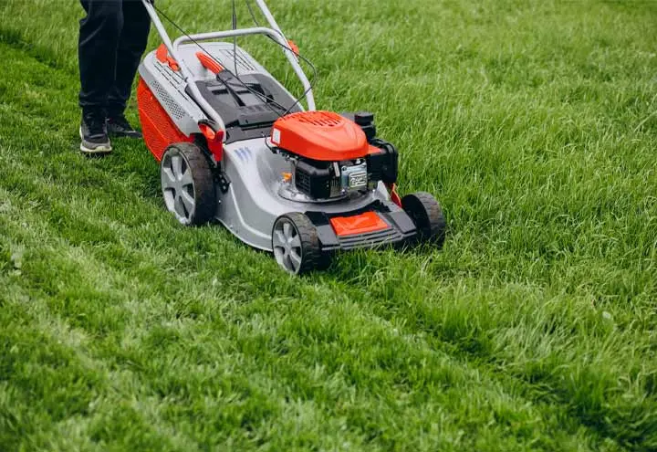 Lawn Care and Maintenance Services in Vancouver & Around