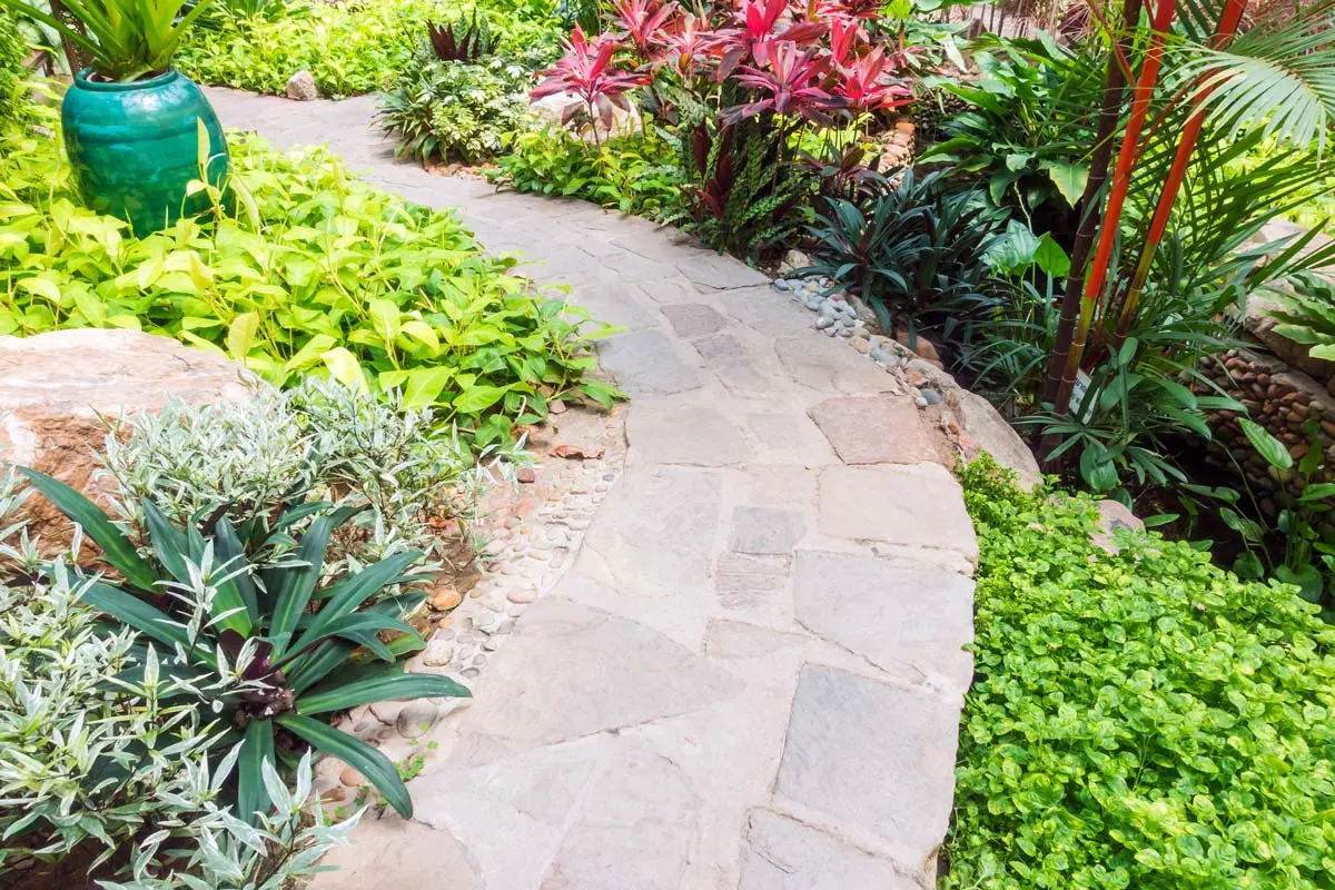 Stone garden pathway surrounded by lush greenery, vibrant plants, and a decorative ceramic pot.