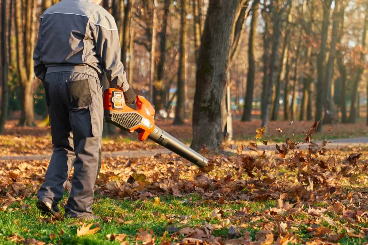 Person using an orange leaf blower to clear fallen leaves in a park.