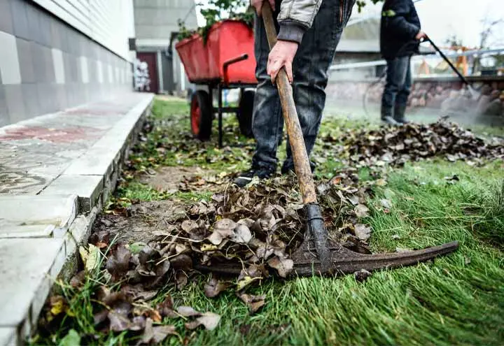 Seasonal Garden & Yard Cleanup Services - Vancouver & Around