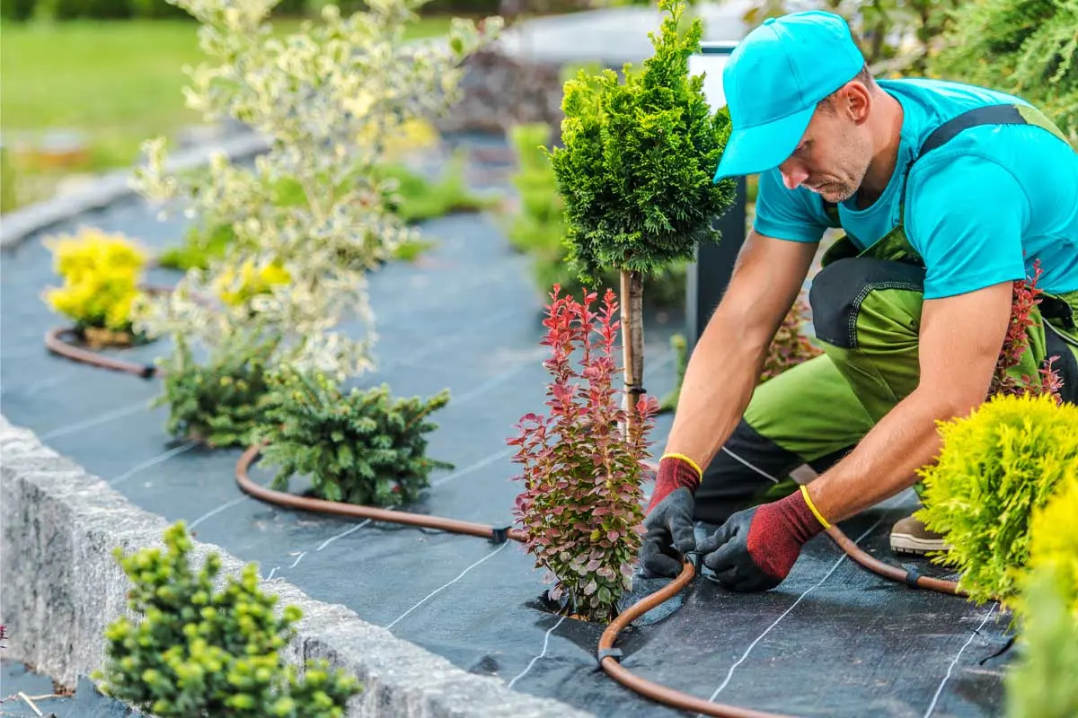 Landscaper installing an irrigation system surrounded by vibrant greenery.