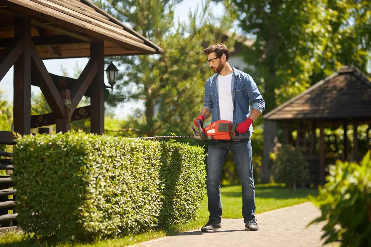 Man trimming a neatly shaped hedge with a red electric trimmer in a sunny garden.