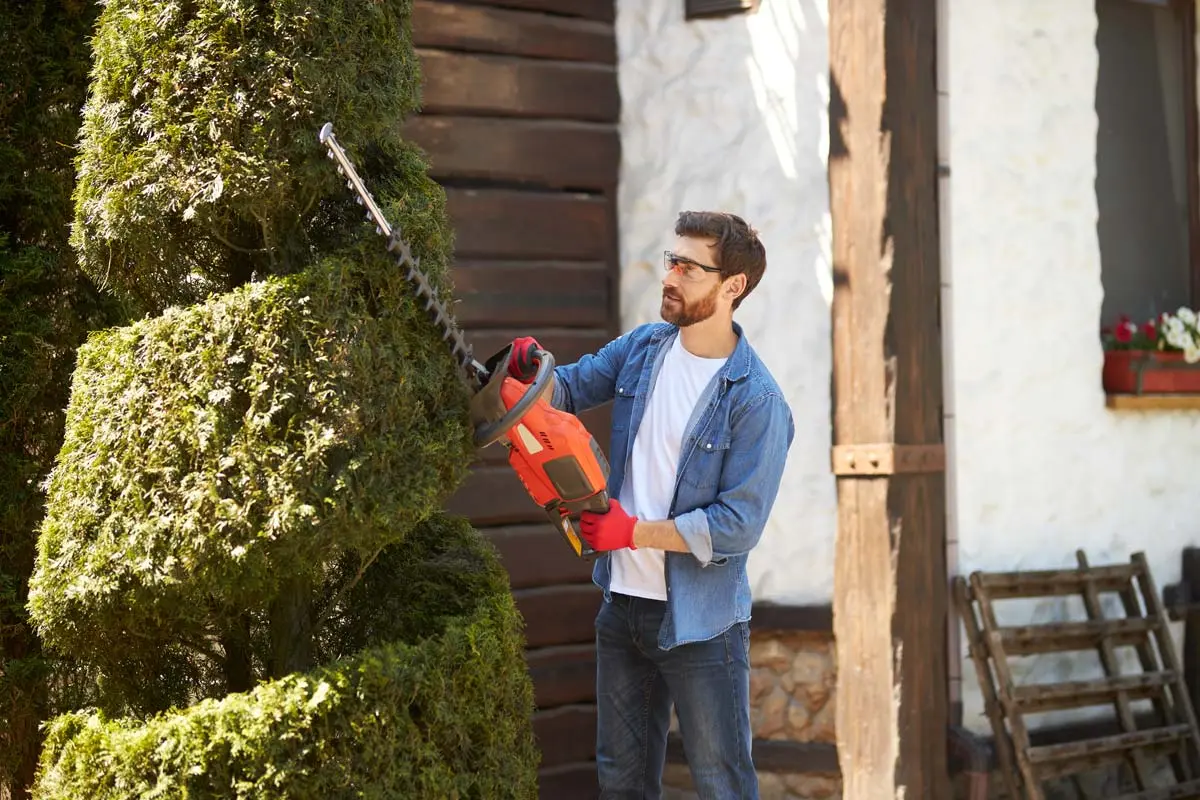 Man shaping a spiral topiary tree using a red electric hedge trimmer in a well-maintained garden.