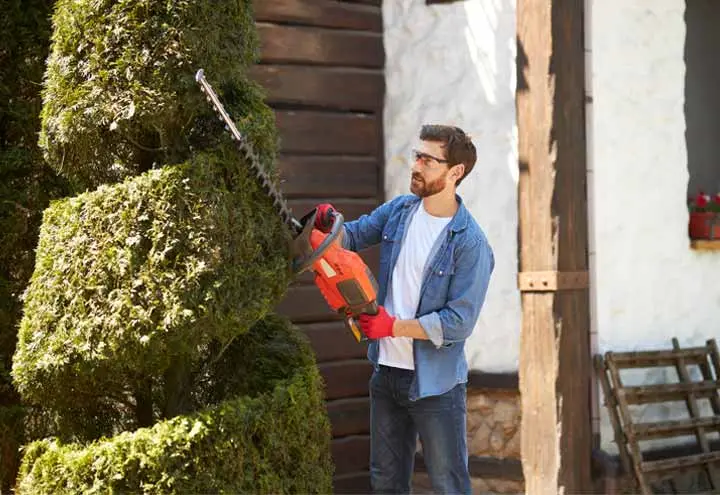 Hedge Trimming and Shaping in & Around Vancouver
