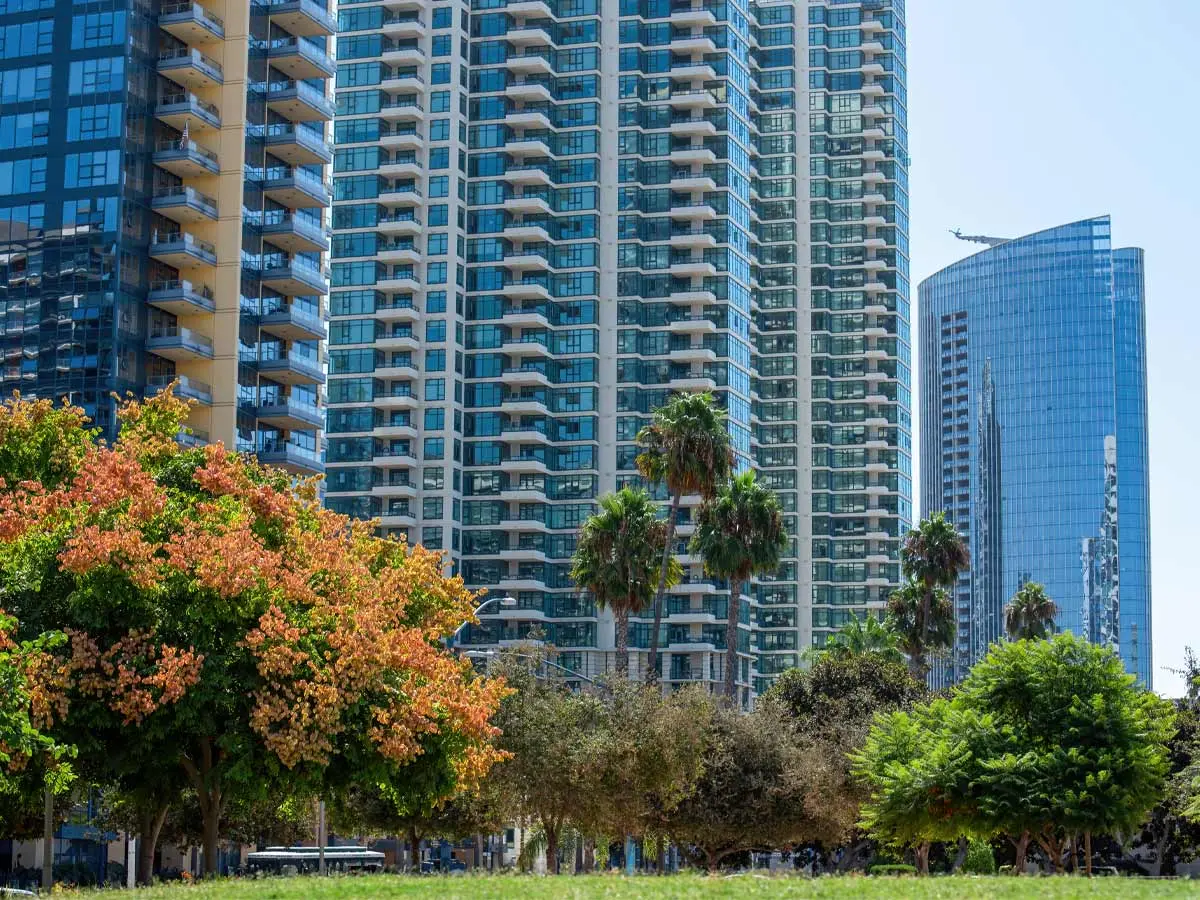High-rise apartment buildings with glass windows behind trees in Vancouver.