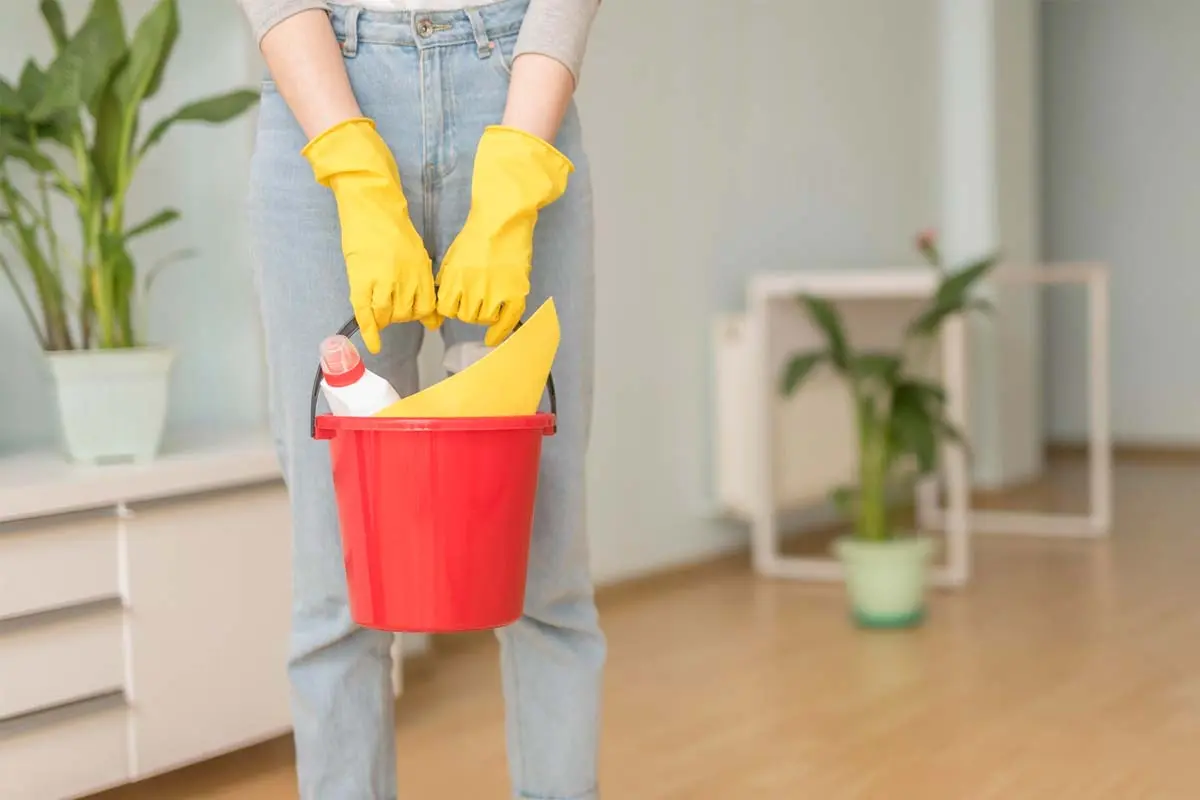Person holding a red cleaning bucket filled with supplies, wearing yellow gloves in a tidy room with potted plants.